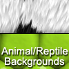 Thumbnail 12 High Quality Animal and Reptile Graphic Backgrounds